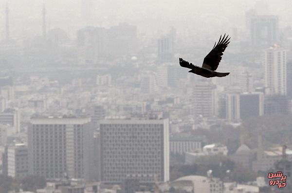 افزایش آلاینده ازن در هوای تهران