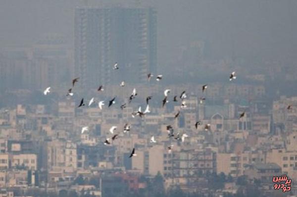 مرگ روزانه 15 نفر در تهران به دلیل آلودگی هوا 