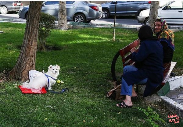 تصویب یک فوریت طرح &#34;جداسازی محل گردش حیوانات خانگی از محل بازی کودکان در بوستان های پایتخت&#34;