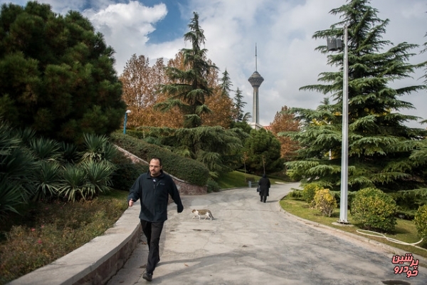 هوای تهران به وضعیت «قابل قبول» رسید