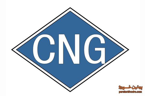 تعطیلی یک جایگاه CNG به علت بدهی