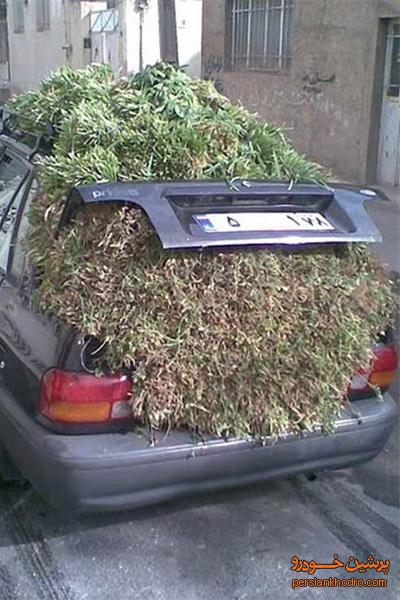 برخورد غلط با خودرو 16 میلیونی+تصویر