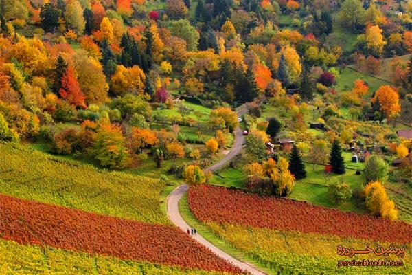 جاده زیبای رویایی+تصویر