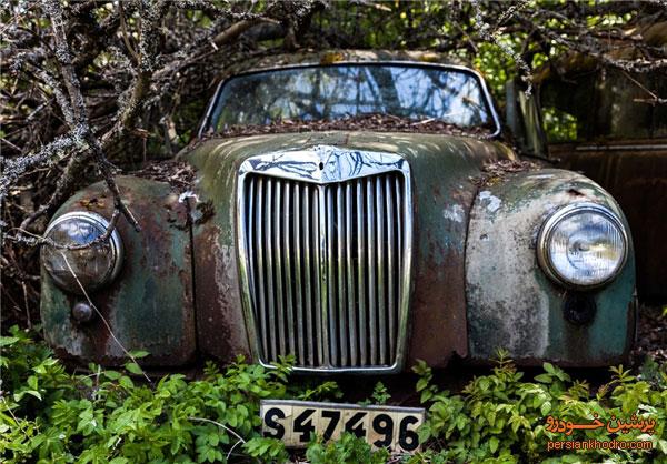 قبرستان خودروهای قدیمی و بنجل در سوئد+تصاویر