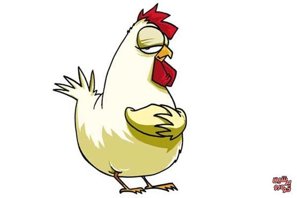 نامه یک مرغ به دخترش