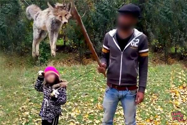 کشتار سریالی روباه ادامه دارد 