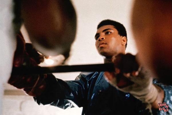 3روز زندگی با «کلی»+تصاویر