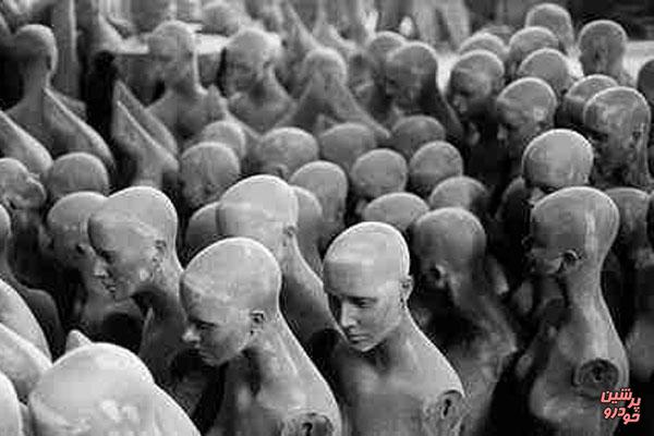 دستگیری 12مانکن و طراح لباس