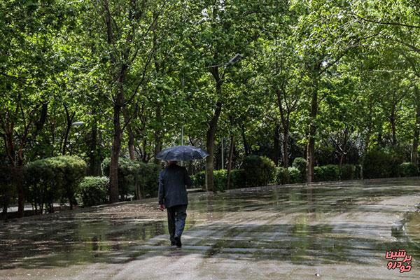 باران در نیمه شمالی کشور 