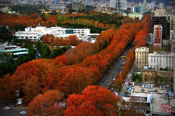 عملیات احیا در خیابان طولانی پایتخت 