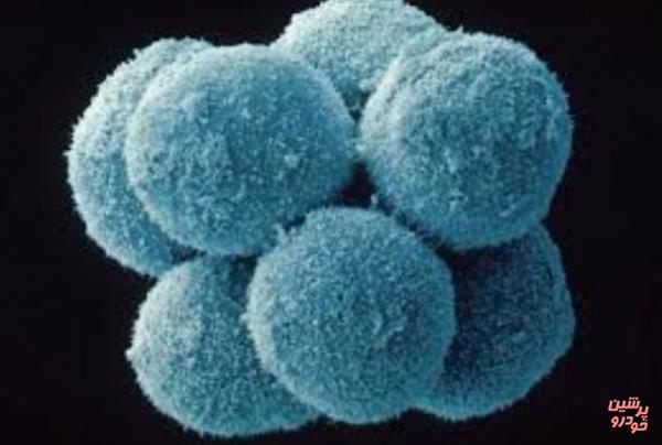 اسپری سلول بنیادی روی زخم بیماران!