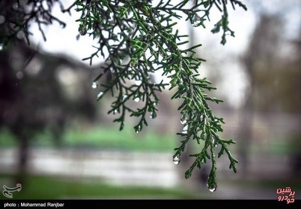 موج جدید بارشی در راه است