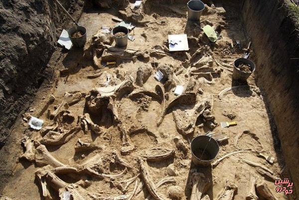 کشف قبرستان دایناسورها در سیبری