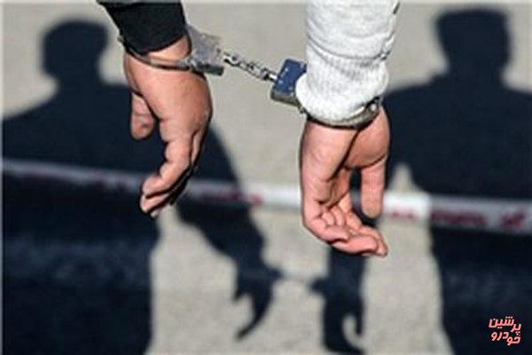 انهدام ۲ باند سرقت داخل خودرو و منزل در استان همدان