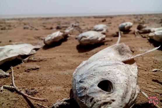 تالاب هامون خشک شد+ عکس 