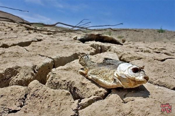 وقوع خشکسالی شدید در 15 استان