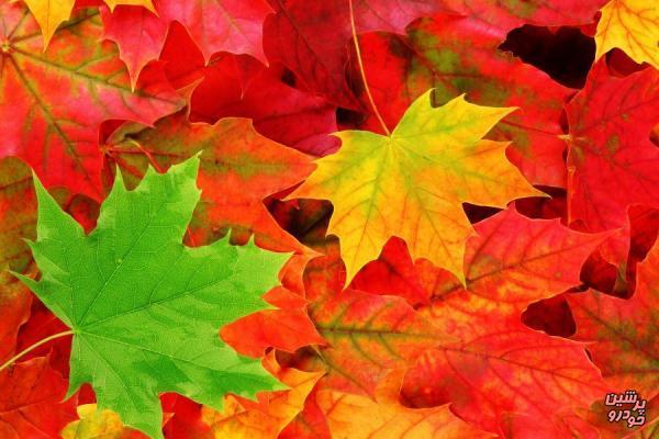 شهری که زیباترین پاییز دنیا را دارد