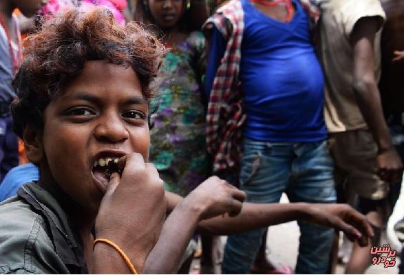 موش، غذای کشاورزان هندی!