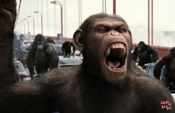 ادعای یک مرد برای سفر در زمان