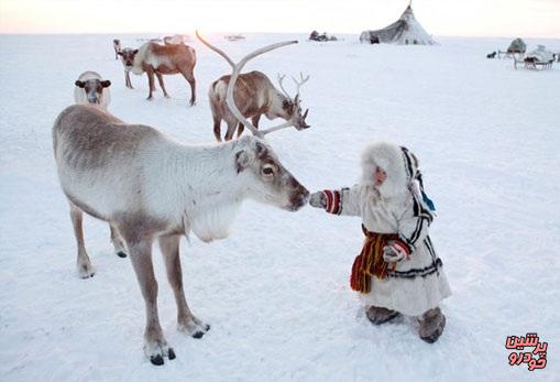 بومیان سیبری در خطر انقراض 