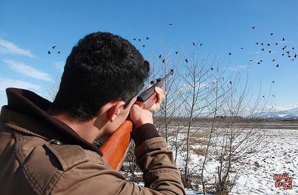 ممنوعیت شکار پرندگان وحشی در تهران