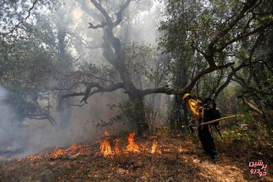 رکورد آتش‌سوزی جنگل‌ها در نوروز