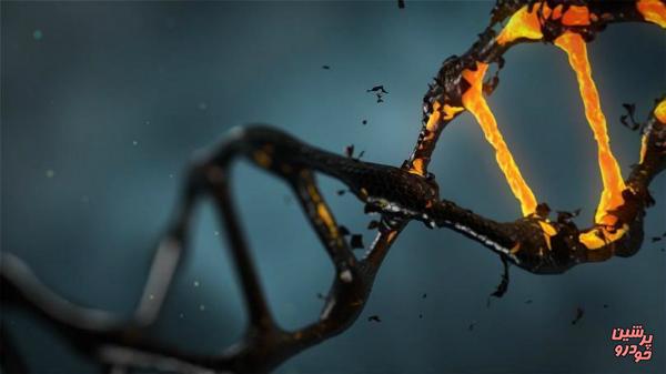 دانشمندان DNA مصنوعی تولید کردند