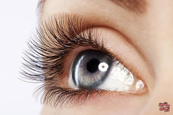 شناسایی پروتئین موثر در رشد چشم