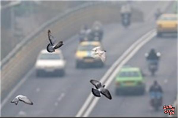 بازنگری در روند تست خودروها